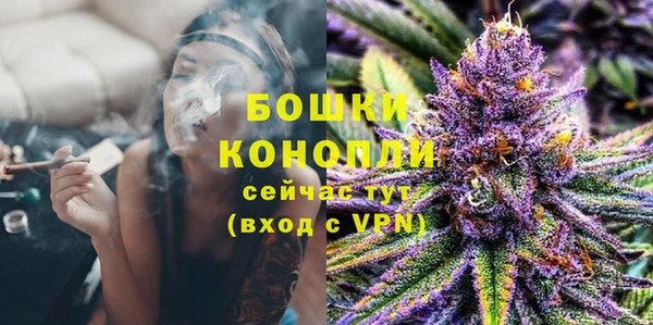 шишки Богданович