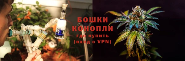mdpv Богородск