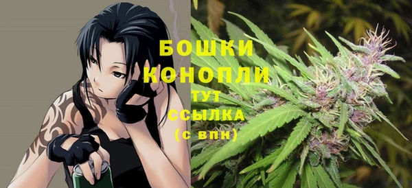 шишки Богданович
