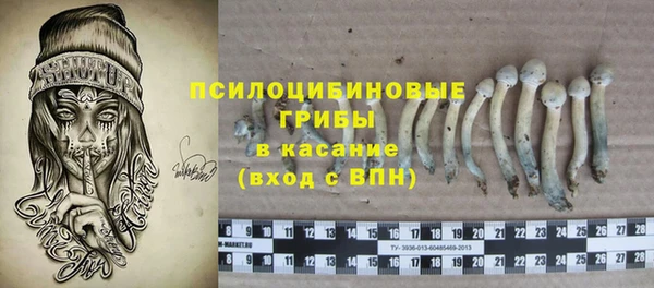 меф Богородицк