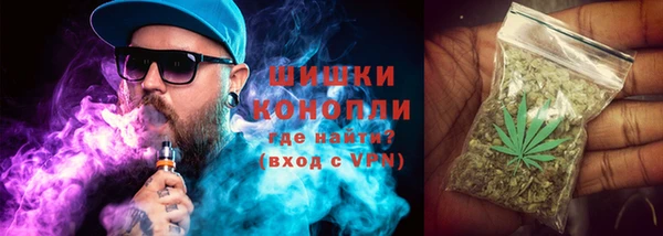шишки Богданович
