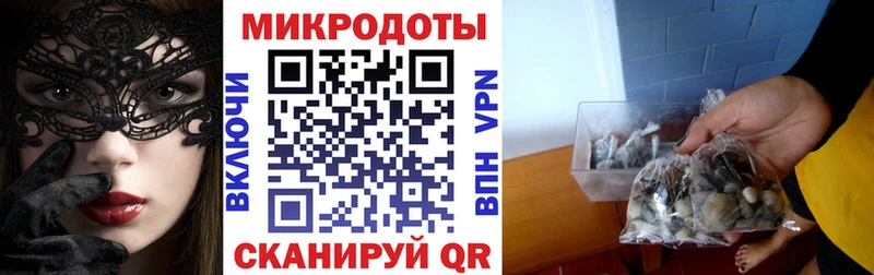 Галлюциногенные грибы Psilocybine cubensis  Волжск 
