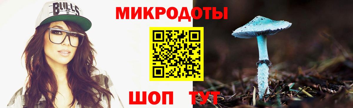 Галлюциногенные грибы GOLDEN TEACHER  Галлюциногенные грибы Psilocybine cubensis  Волжск  Вход с VPN 